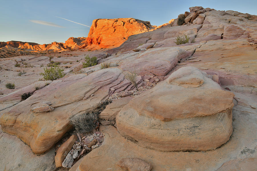 First Light on Valley of Fire Photograph by Ray Mathis