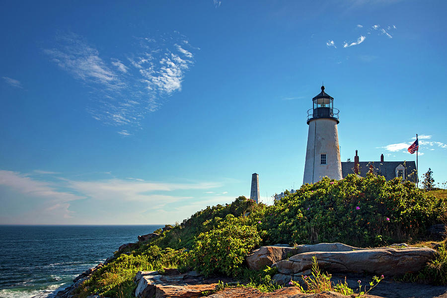 Lighthouse, Pemaquid, Maine #20 Digital Art by Claudia Uripos