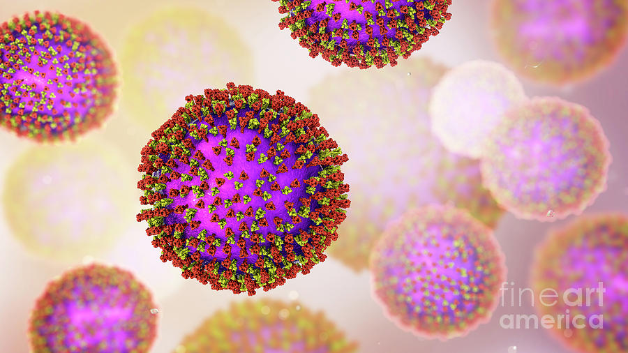 Measles Virus #20 Photograph by Kateryna Kon/science Photo Library - Pixels