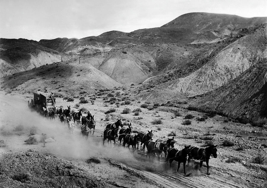 20-mule team hauling borax out of Death Valley to the railroad,  Photograph by Doc Braham