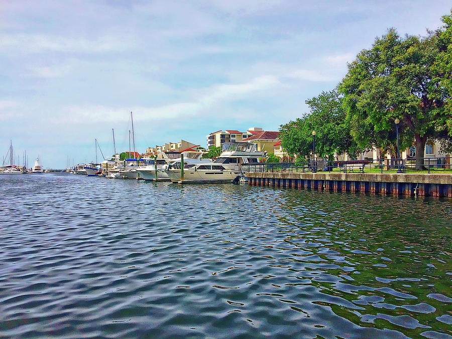Pensacola Bay by Anthony Dezenzio Pensacola Bay by Anthony Dezenzio