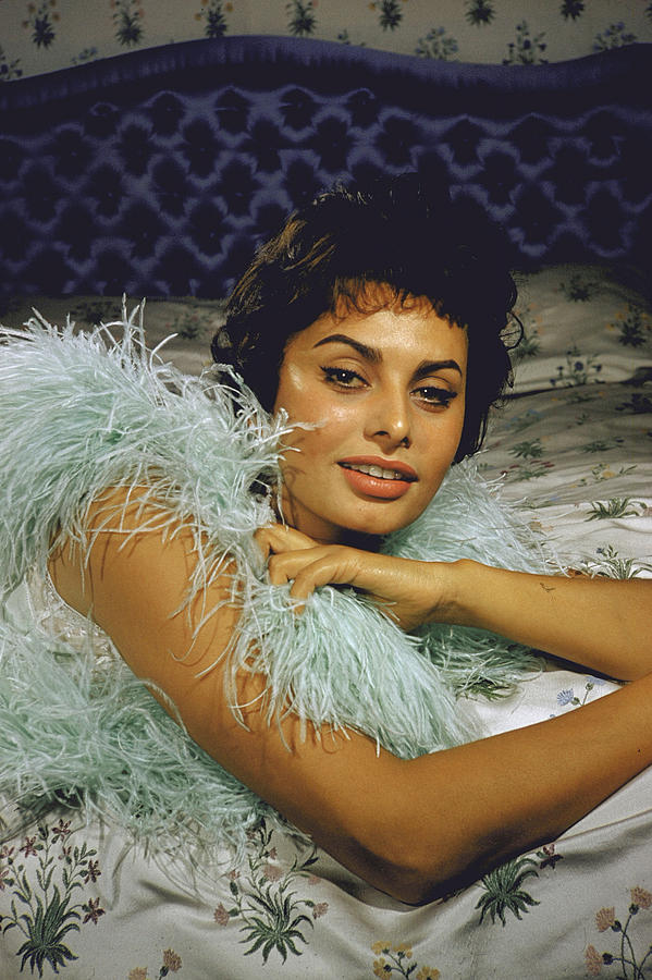 Sophia Loren Photograph - Sophia Loren #1 by Loomis Dean