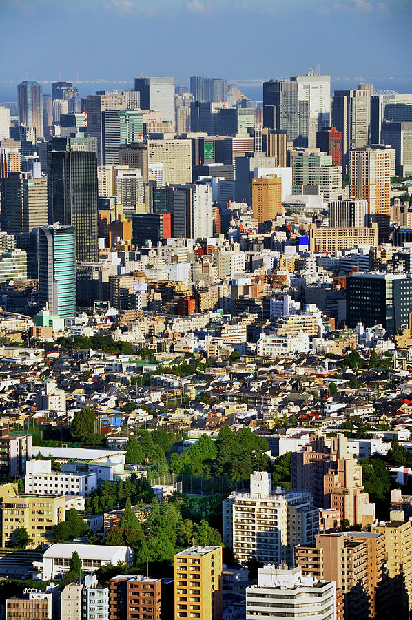 Tokyo Cityscape #20 Photograph by Vladimir Zakharov