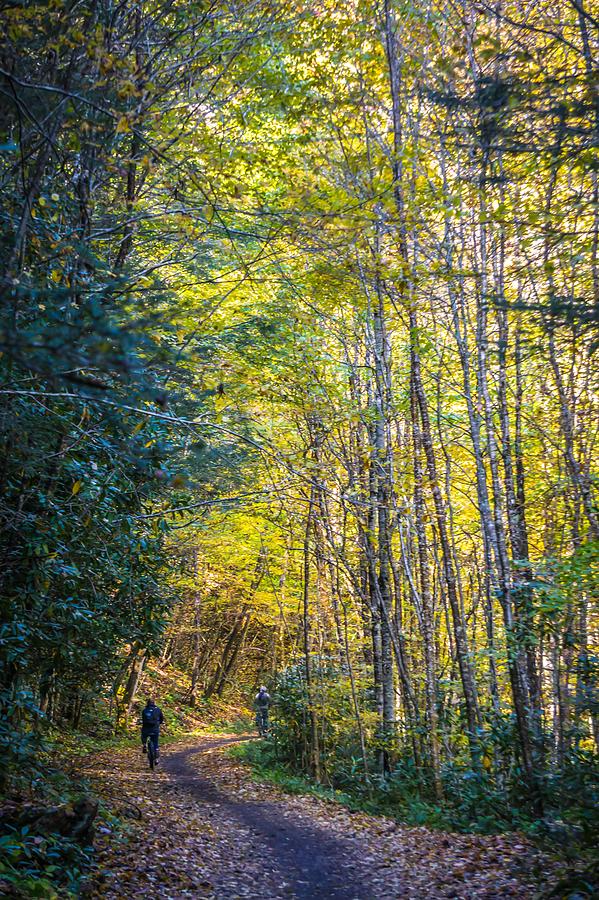 Views Along Virginia Creeper Trail During Autumn #20 Photograph by Alex Grichenko