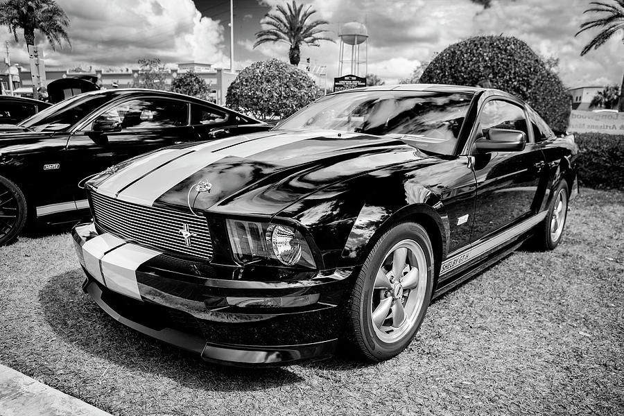 2006 Ford Hertz Shelby Mustang GT-H 100 Photograph by Rich Franco