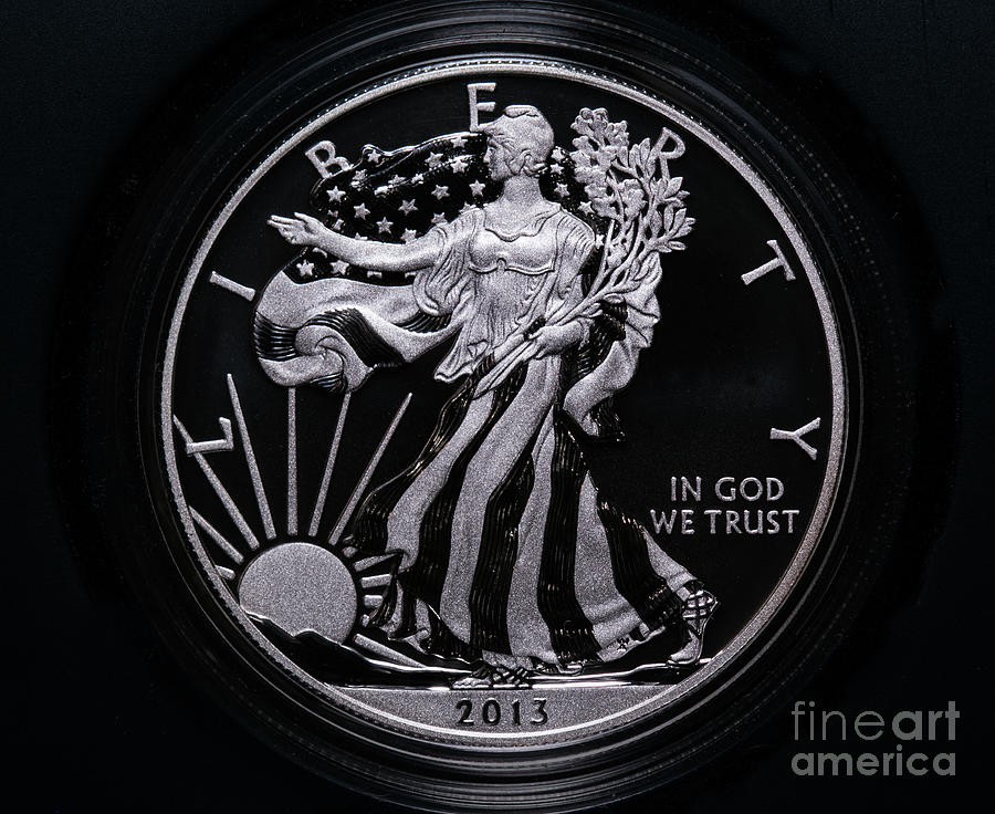 2013 Silver Eagle Dollar Coin Obverse Digital Art by Randy Steele