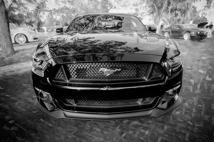 2017 Ford Mustang 5.0 104 Photograph by Rich Franco