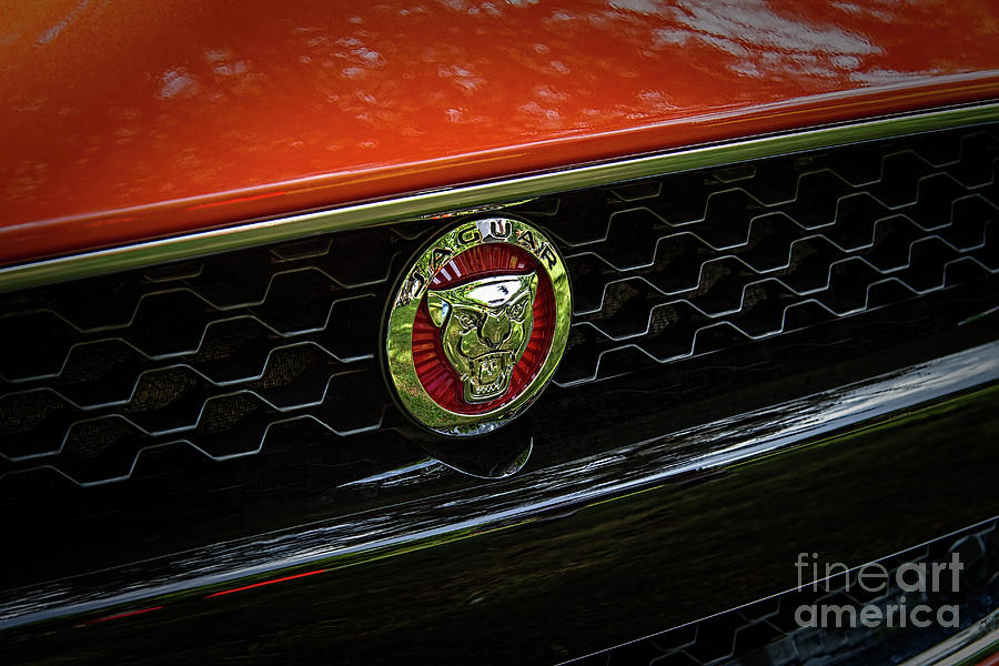 2017 Jaguar F Type Coupe Emblem And Logo Photograph by Nick Gray - Fine ...