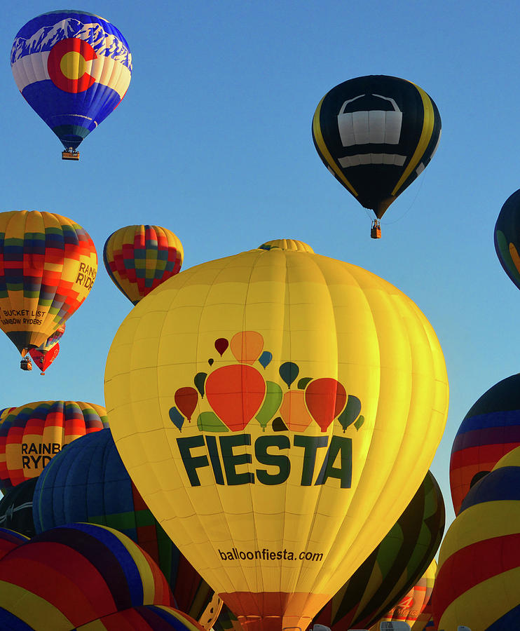 2019 Albuquerque International Balloon Fiesta work A Photograph by David Lee Thompson
