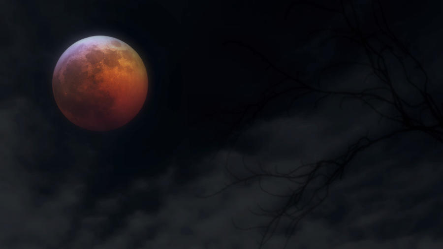 2019 Lunar Eclipse Photograph by Ally White