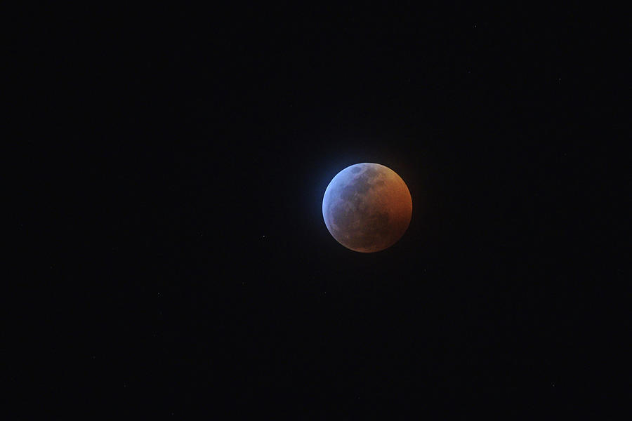 2019 Lunar Eclipse Photograph by Chance Kafka