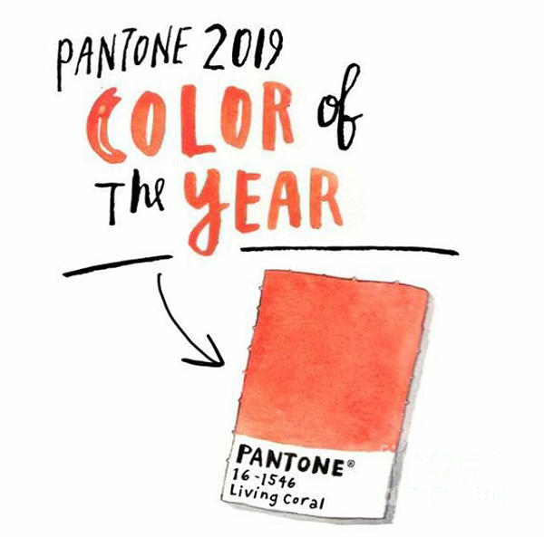 2019 Pantone Color of the year icon by L Cecka 2019 Pantone Color of the year icon by L Cecka