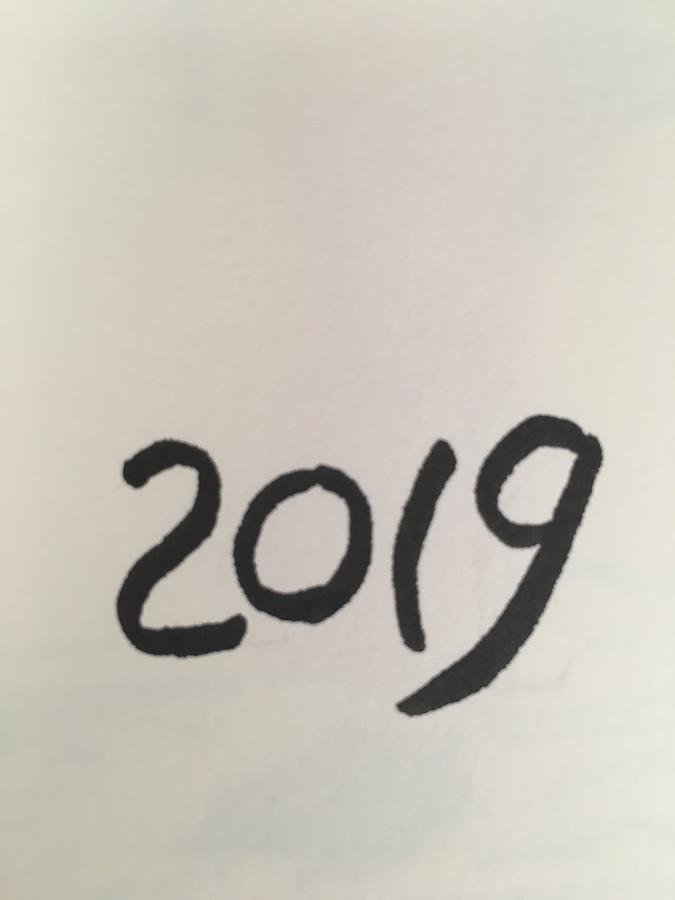 2019 Drawing by Roger Cummiskey