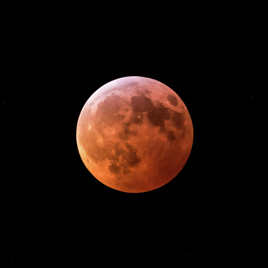 2019 Super Blood Moon Lunar Eclipse Square Photograph by Terry DeLuco
