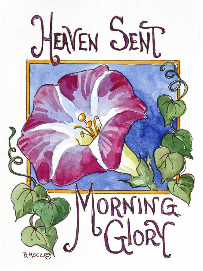 Nature Painting - 2089 Heaven Sent Mornning Glory-seed Packet by Barbara Mock
