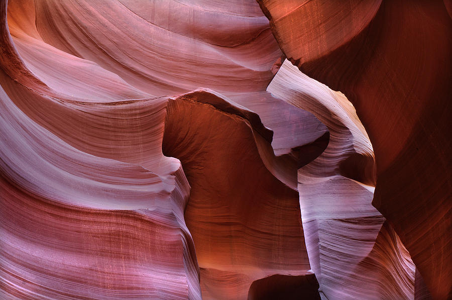Abstract Sandstone Sculptured Canyon #21 Photograph by Mitch Diamond