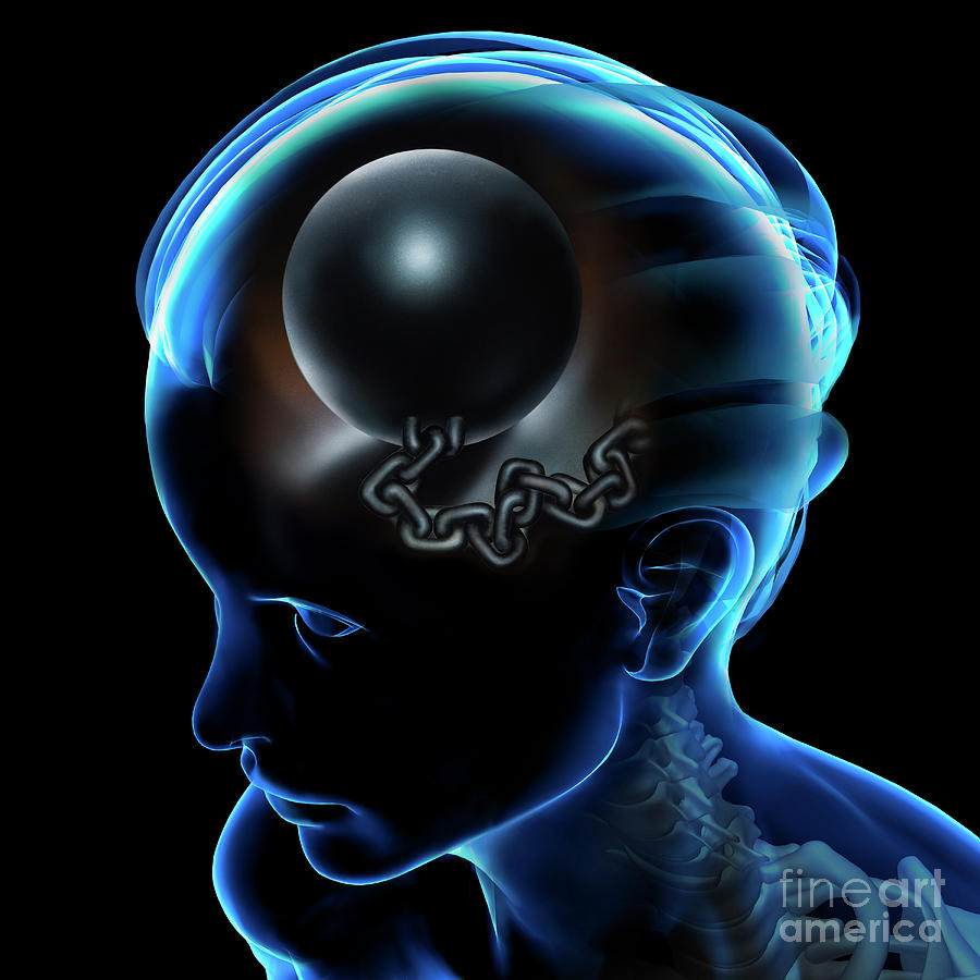 Brain Concept Photograph By Fernando Da Cunhascience Photo Library Fine Art America 7321