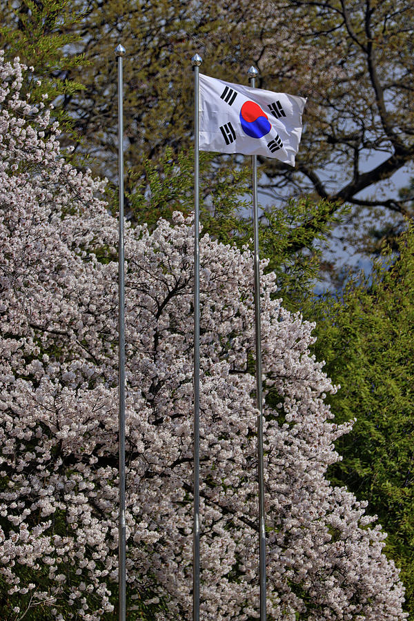 Busan South Korea #21 Photograph by Paul James Bannerman