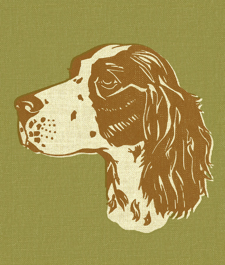 Vintage Drawing - Dog #21 by CSA Images