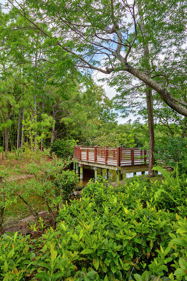 Florida, South Florida, Delray Beach, Morikami Japanese Gardens #21 Digital Art by Lumiere