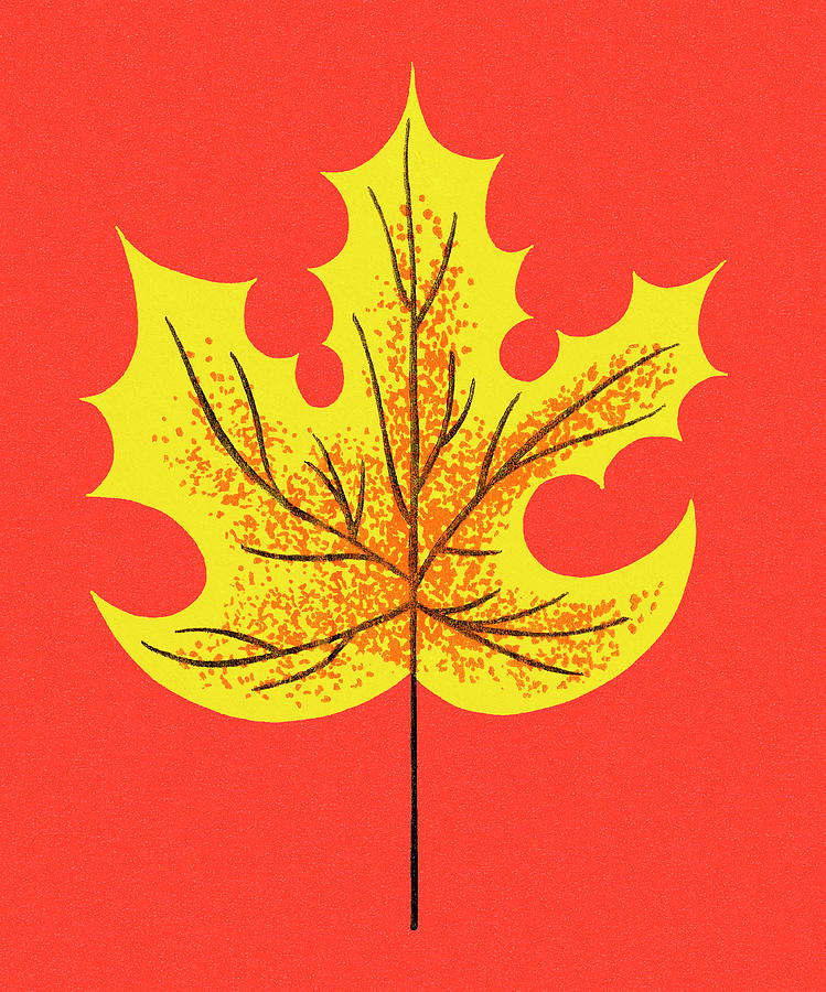 Fall Drawing - Leaf #21 by CSA Images