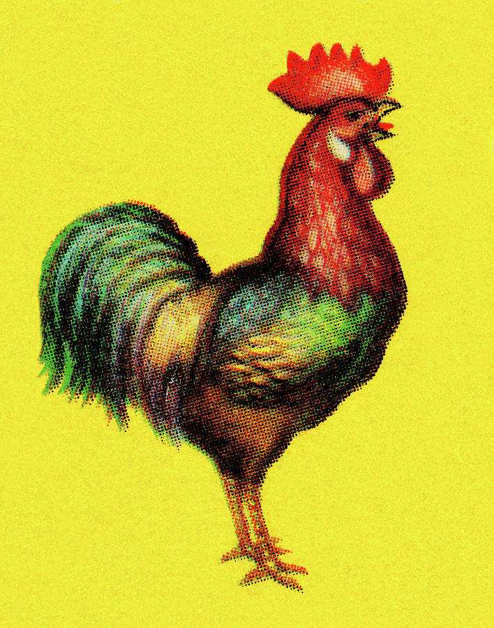 Chicken Drawing - Rooster #21 by CSA Images