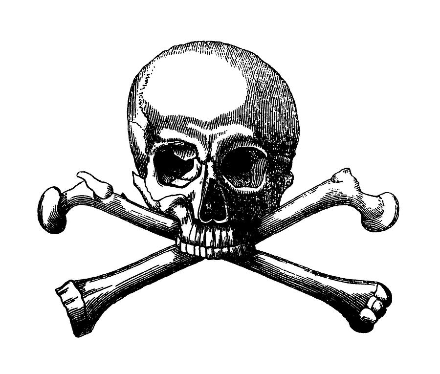 Skull and Crossbones Drawing by CSA Images - Fine Art America