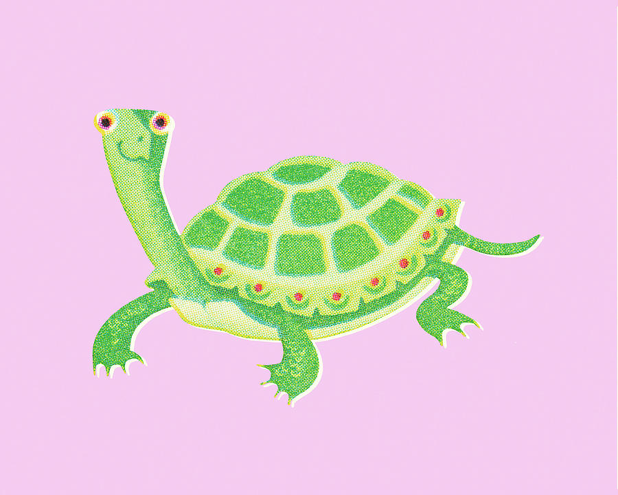 Turtle Drawing - Turtle #21 by CSA Images