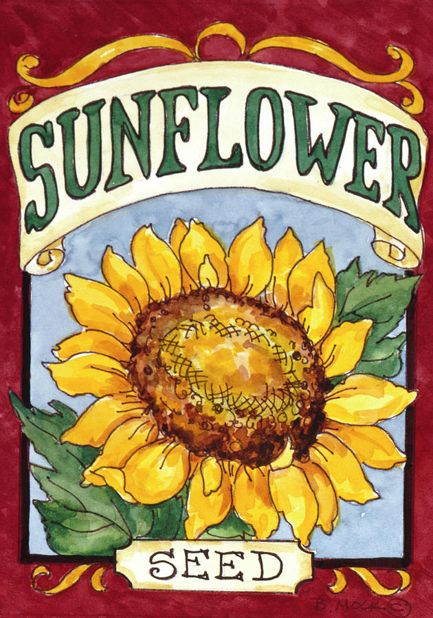 Nature Painting - 2113 Large Sunflower-seed Packet by Barbara Mock