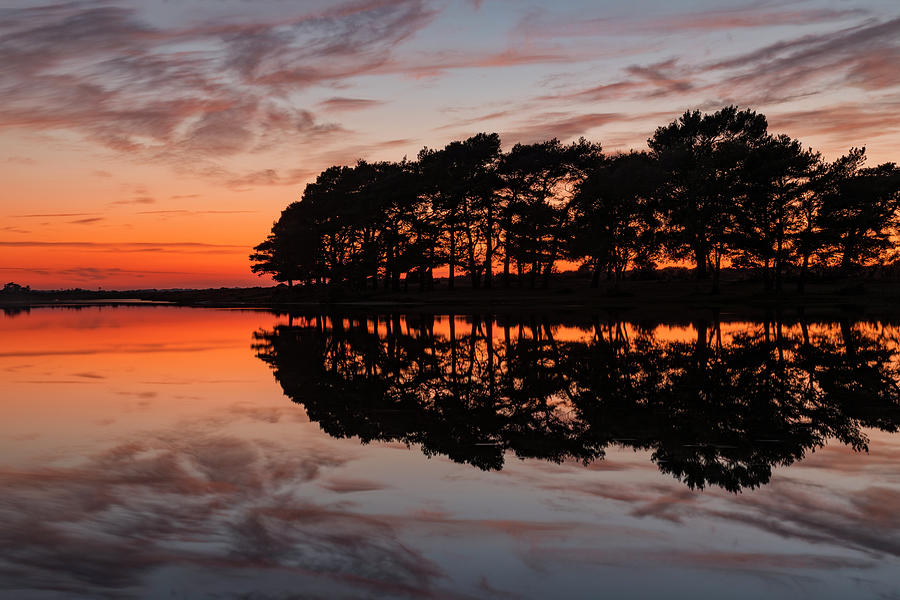 New Forest - England #212 Photograph by Joana Kruse