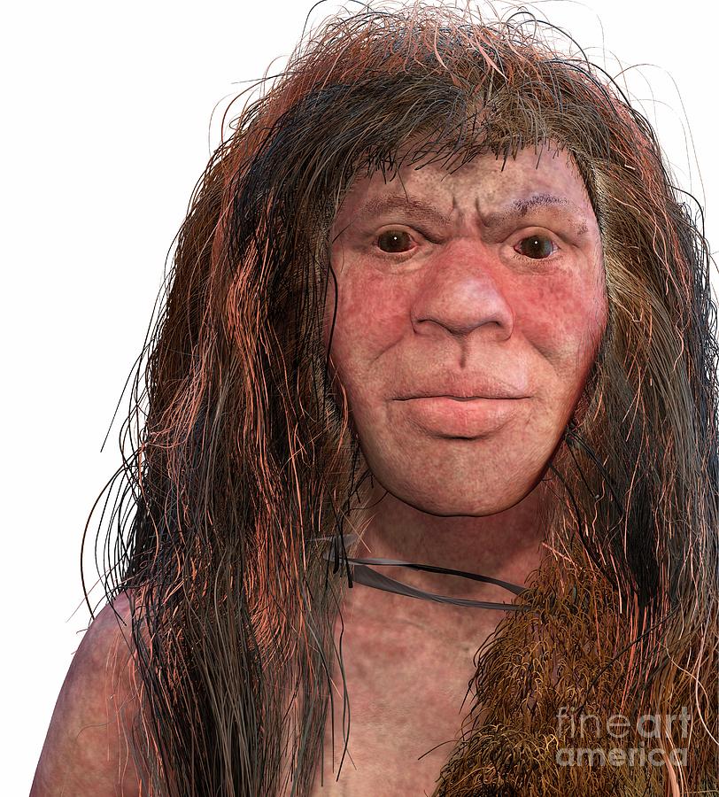 Ancient-human Hybrid Photograph by John Bavaro Fine Art/science Photo ...