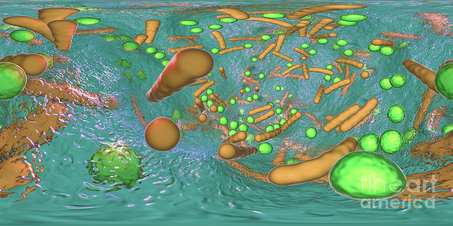 3 Dimensional Photograph - Bacteria In A Biofilm #22 by Kateryna Kon/science Photo Library