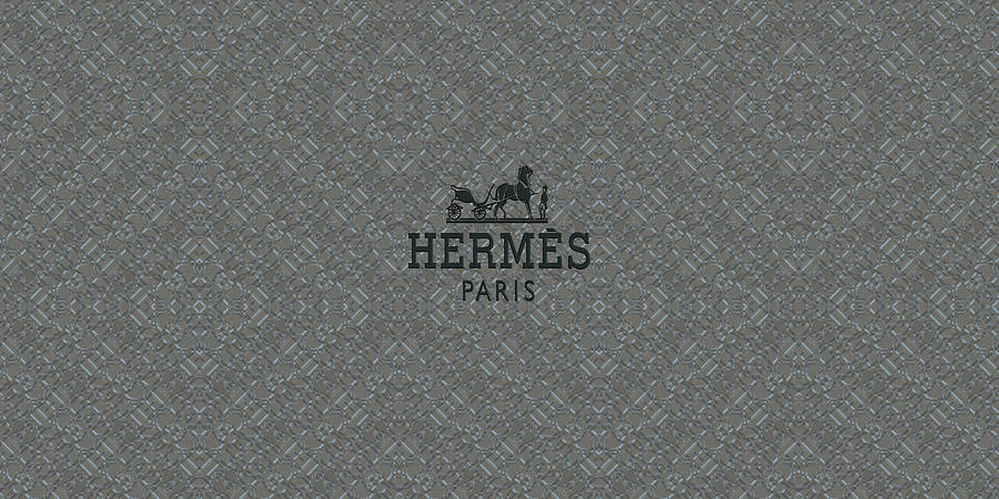 hermes logo