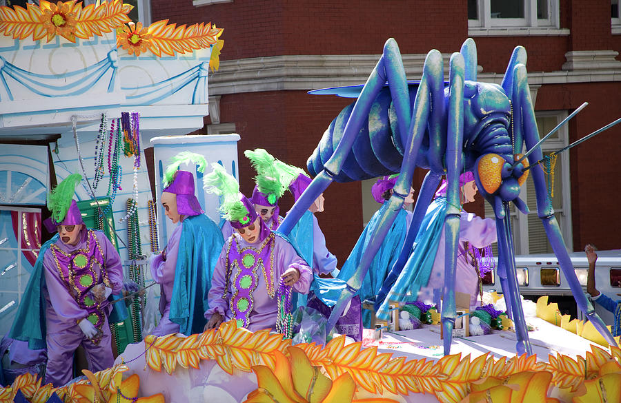 buzzbox mardi gras hurricane