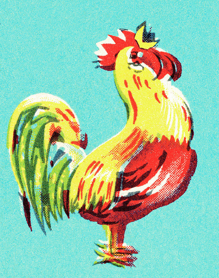 Chicken Drawing - Rooster #22 by CSA Images