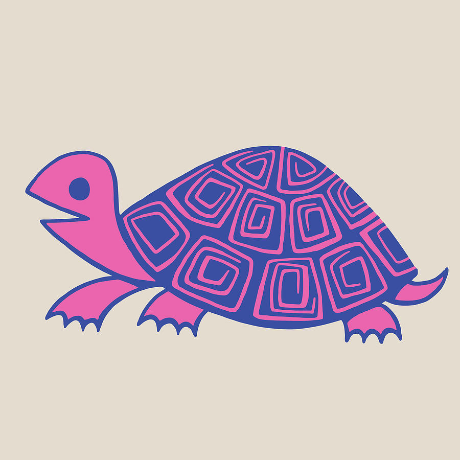 Turtle Drawing - Turtle #22 by CSA Images