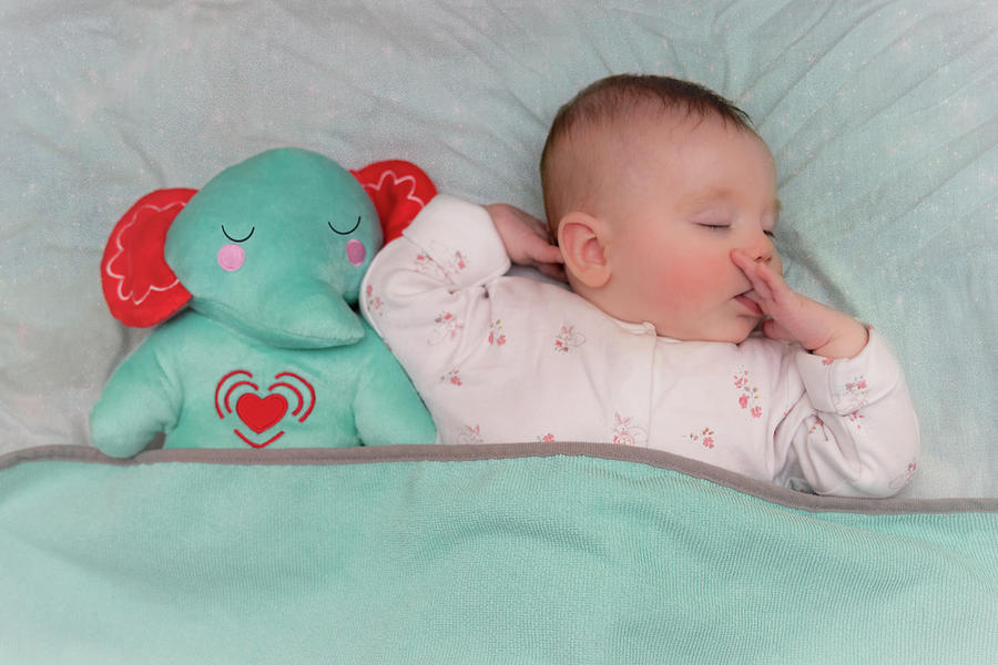 Baby Sleeps with Toy Elephant Photograph by Patti Deters