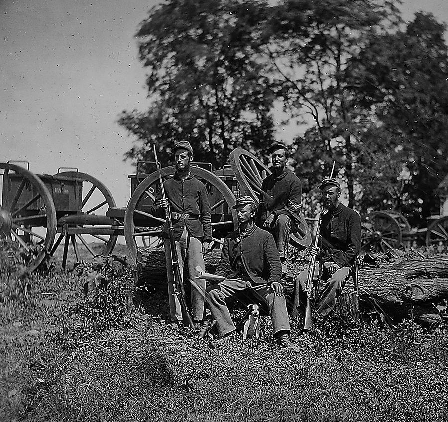 Civil War Painting - 22nd New York Regiment by Matthew Brady