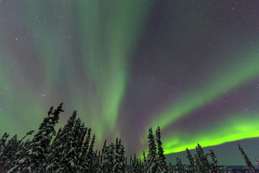 Aurora Borealis, Northern Lights Photograph by Stuart Westmorland ...