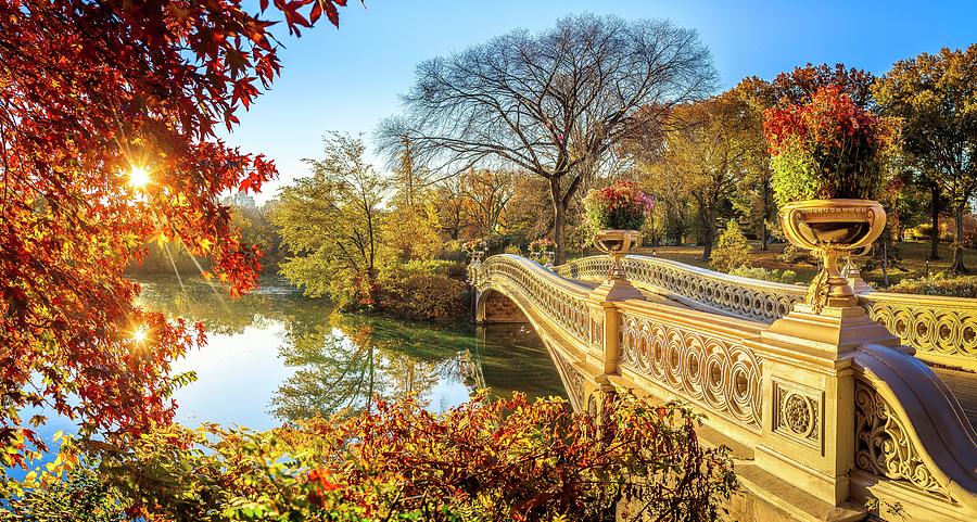 Bow Bridge In Central Park, Nyc Digital Art by Antonino Bartuccio - Pixels