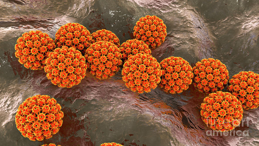 Human Papilloma Virus Photograph By Kateryna Kon Science Photo Library Pixels