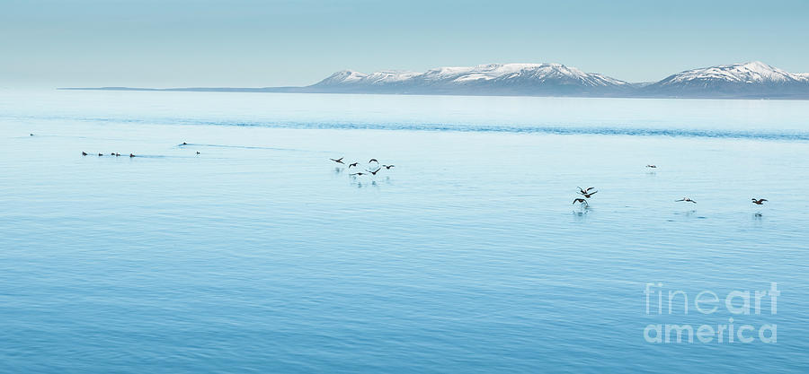 Icelandic landscapes full of green grass, sea and blue sky. #23 Photograph by Joaquin Corbalan