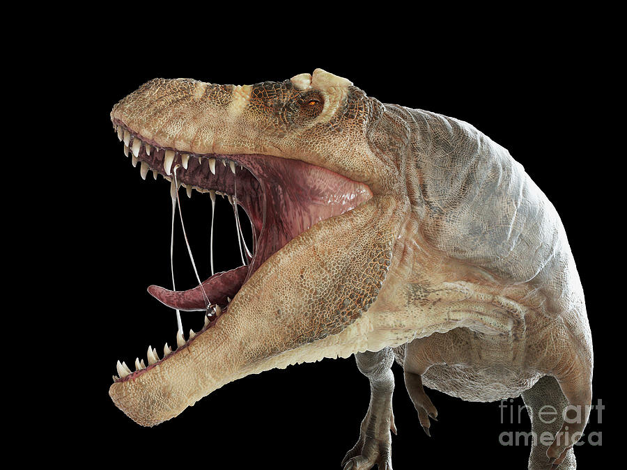 Tableau anime t-rex - 40 x 60 cm