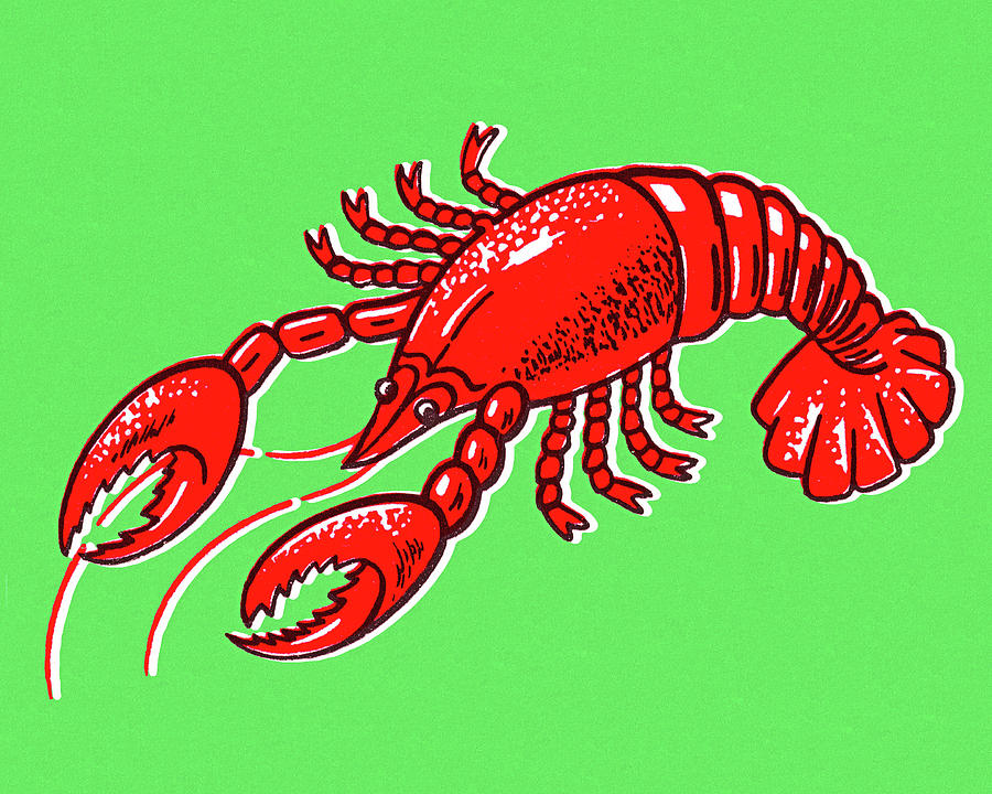 Vintage Drawing - Lobster #23 by CSA Images
