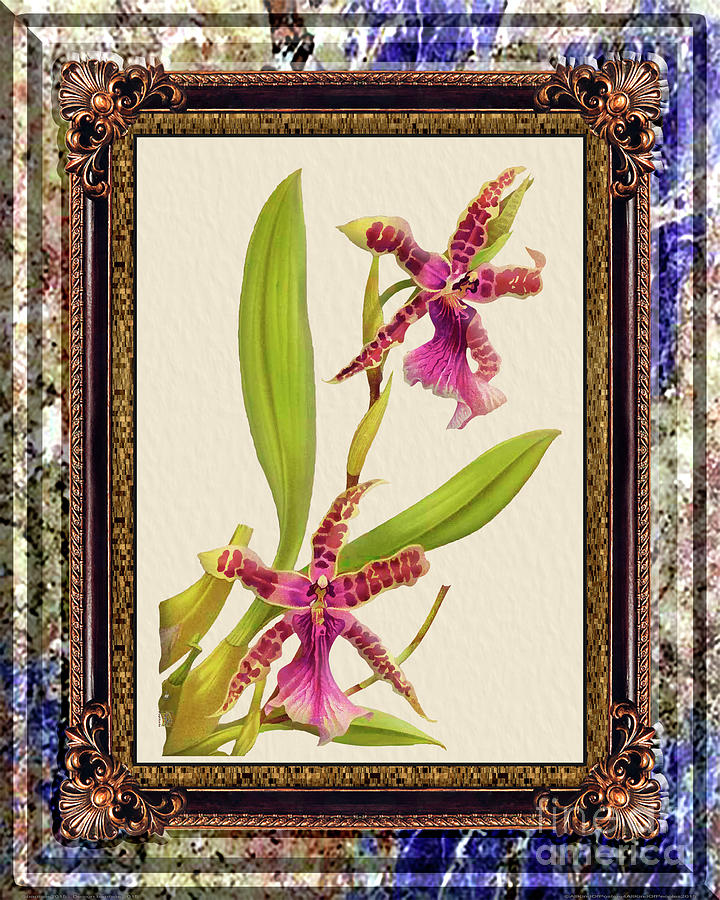 Vintage Orchid Antique Design Marble Purple Painting