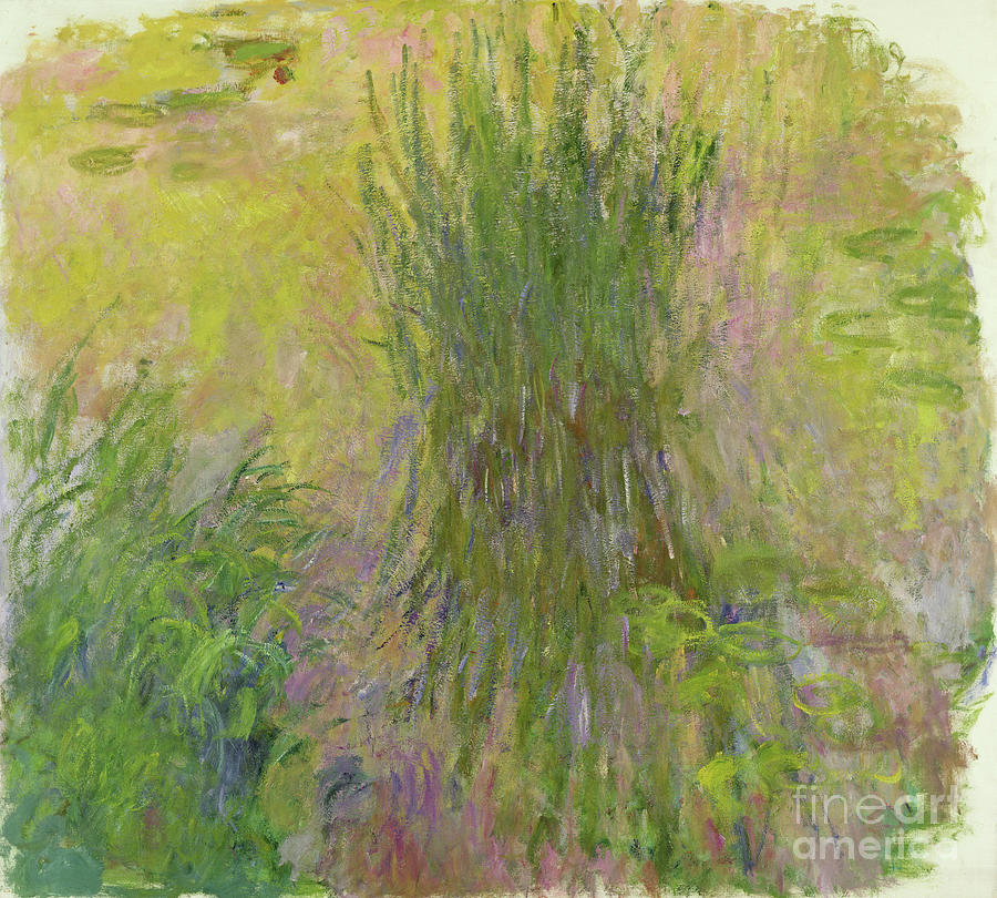 Flowers Still Life Photograph - Waterlilies by Claude Monet