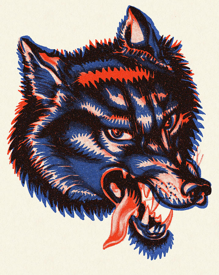 Vintage Drawing - Wolf #23 by CSA Images