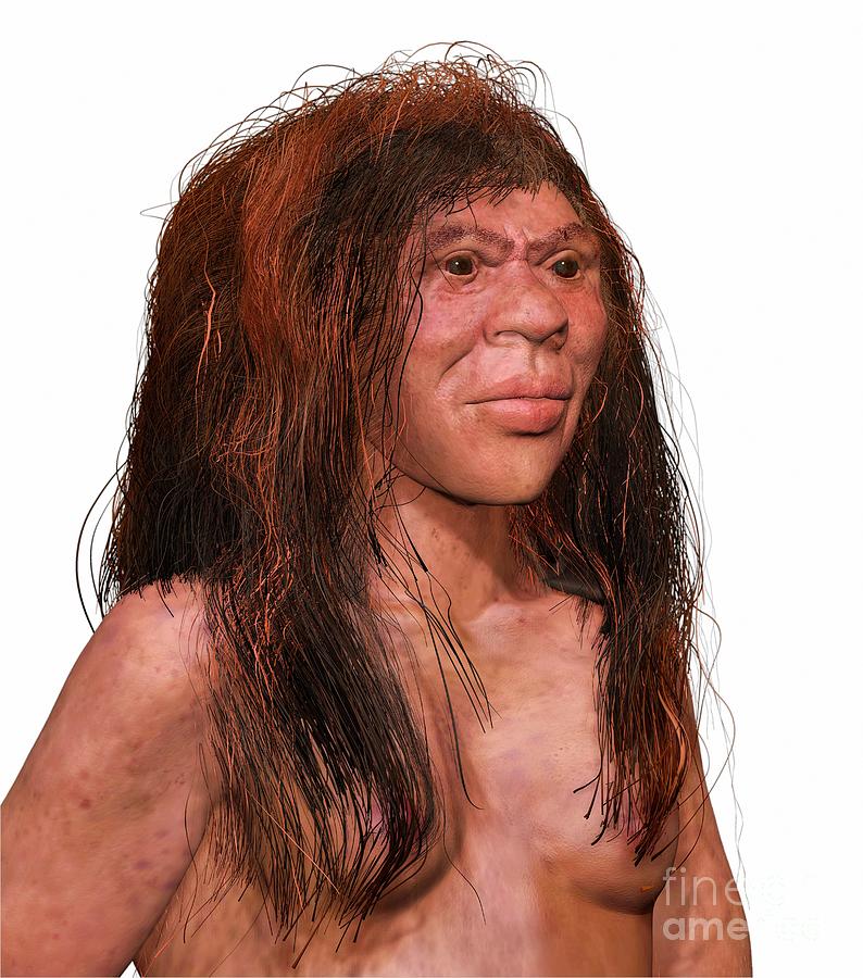 Ancienthuman Hybrid Photograph by John Bavaro Fine Art/science Photo Library