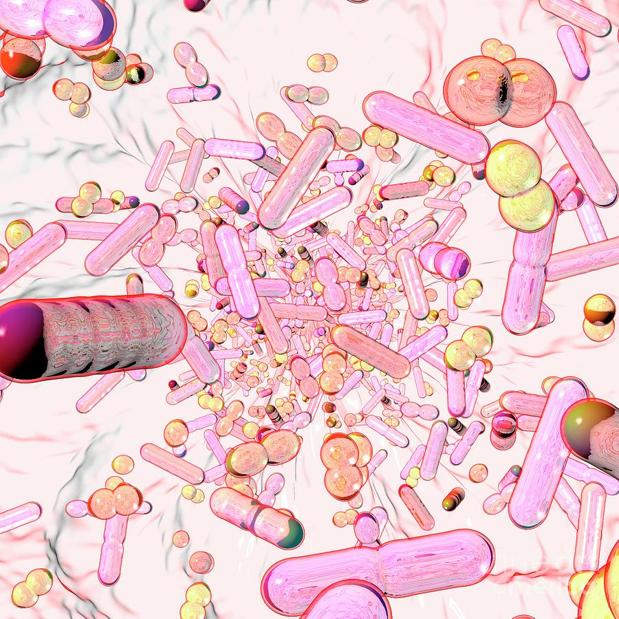 Human Microbiome Photograph By Russell Kightley Science Photo Library Fine Art America