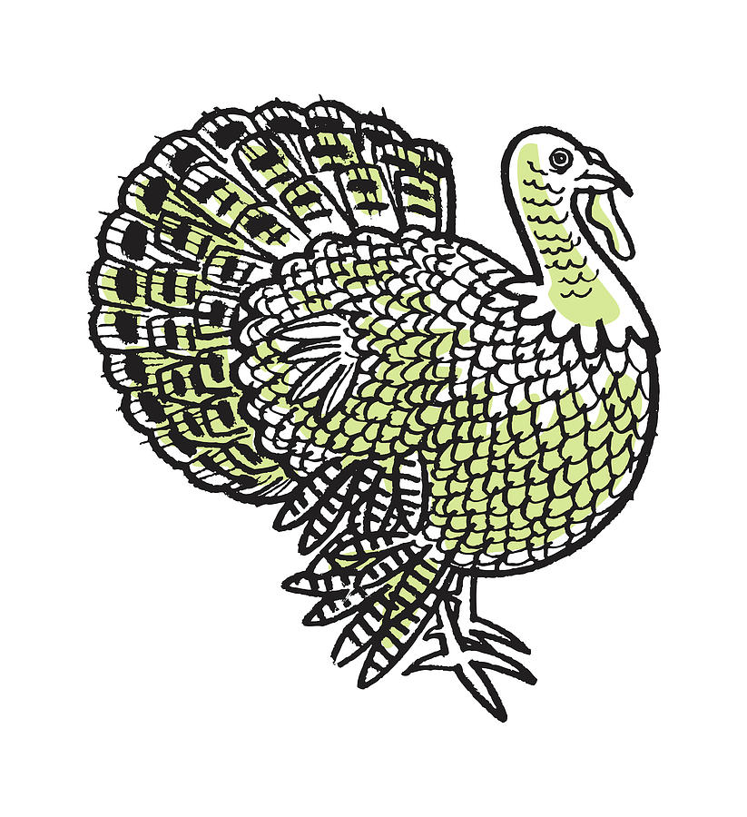 Turkey Drawing by CSA Images - Pixels Turkey Drawing by CSA Images - Pixels